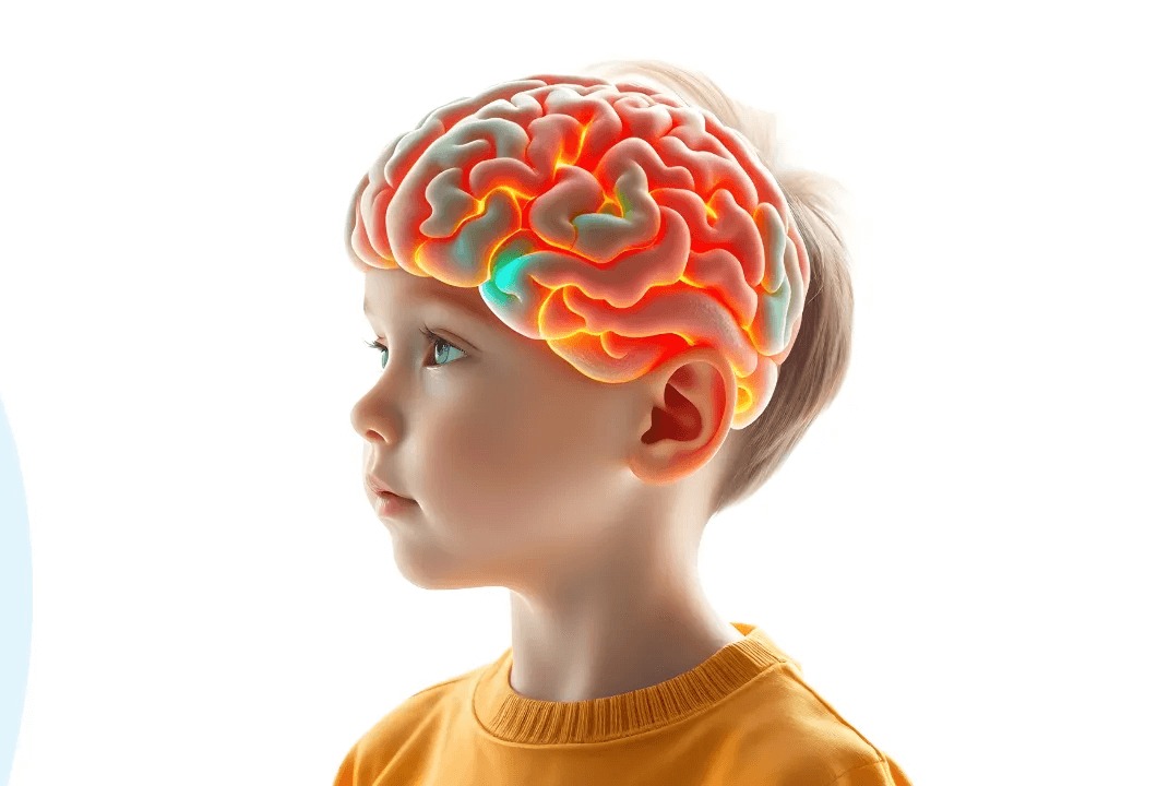 Top 5 Nutrients Essential for Your Child’s Brain Development