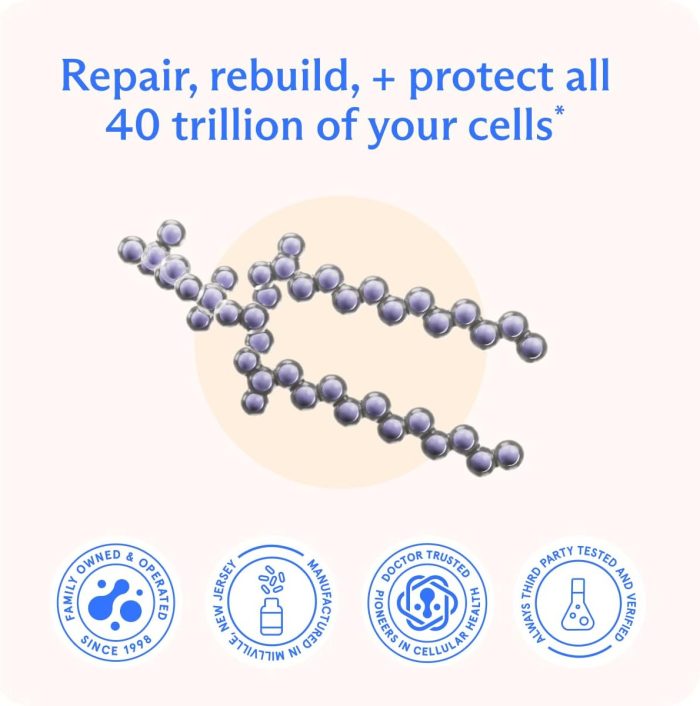 BodyBio PC - Phosphatidylcholine for Brain Health, Mental Clarity, Cognitive Function, Cellular Repair & Healthy Aging, Phosholid Complex Supplement for Gentle Daily Detox - Image 3